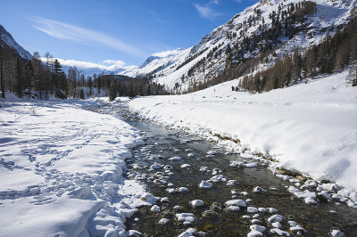 瑞士恩加丁格里森州彭特雷西纳的罗斯格河谷，雪景与落叶松森林