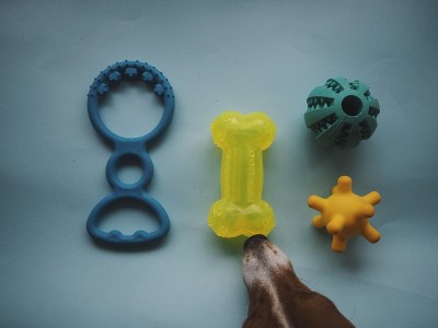 宠物用品，玩具和女士的动物，小狗，狗