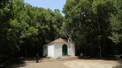 Garajonay国家公园