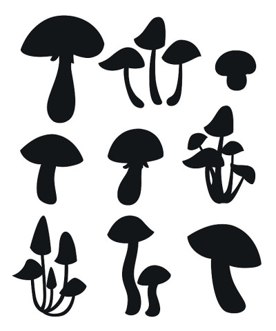 黑色的轮廓。装饰蘑菇插图。卡通风格的设计。矢量插图孤立在白色背景。网站页面和移动应用程序设计
