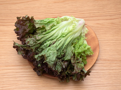 阳光明媚的生菜