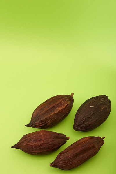 四个可可豆荚