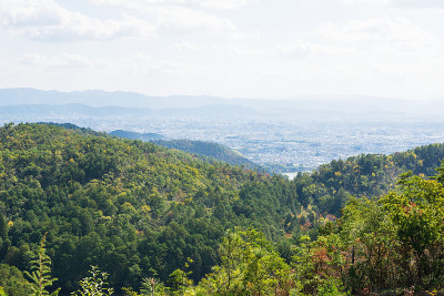 岚山高雄公园路的景色
