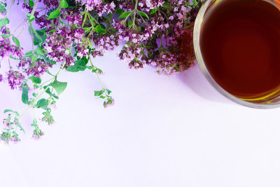 杯中的茶，有牛至花束，有选择性地聚焦在白色背景上