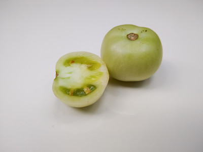 白色背景上的绿色番茄