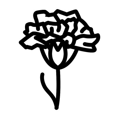 康乃馨花线图标矢量插图