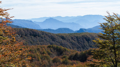 森林Mountainscape