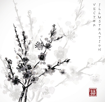 樱花盛开。