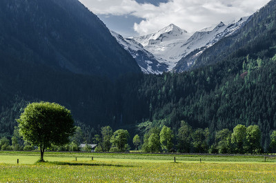 绿色的山谷和高山