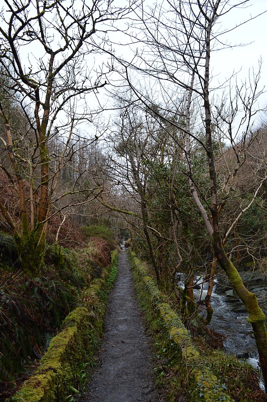 Laxey glen