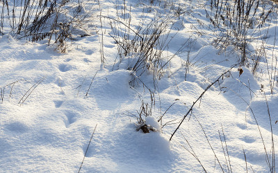 在一场大雪和干草中落下的雪