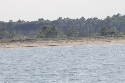 海滩