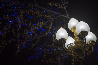 美丽的路灯在夜晚的城市和观赏灯光的背景。