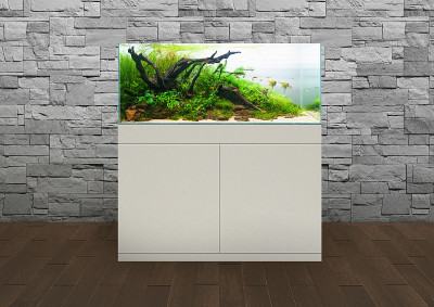 景水族植物水箱淡水