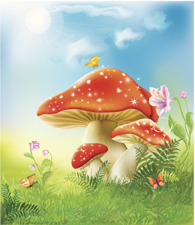 红色的神奇蘑菇