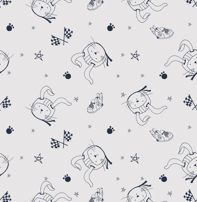 RACERpattern
