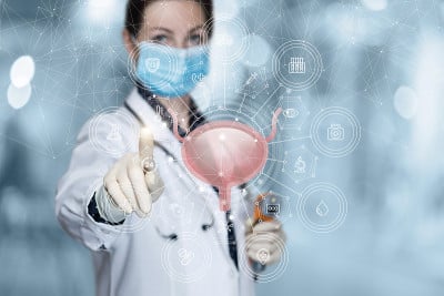 医生用膀胱模型检查病人的泌尿系统。