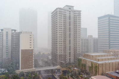 东京的雪