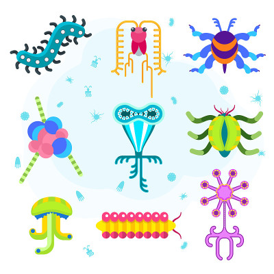 简单的微生物。细菌学研究细菌和病毒的科学