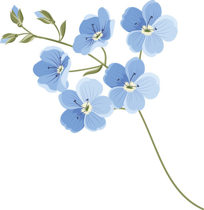 亚麻花