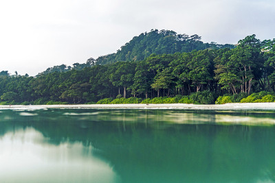 哈夫洛克岛海滩的美景，海水中美丽的树，