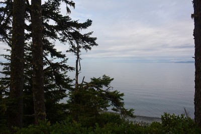 夏洛特女王海峡