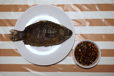 烤鱼盐