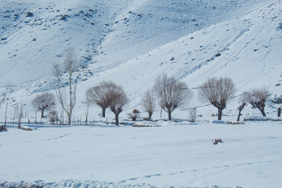 雪