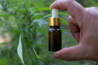 手拿着一个玻璃瓶与CBD油在大麻花盛开的背景