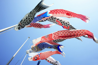 鲤鱼等浮电缆