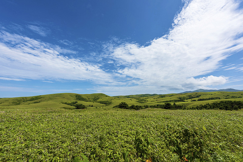 日本北海道里本岛的夏日乡村景色