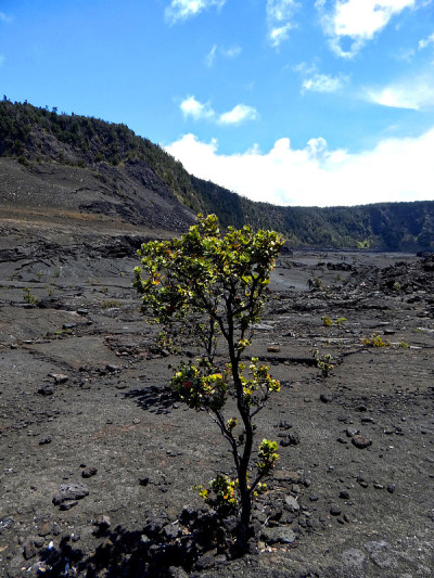 火山国家公园的景色