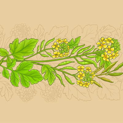 芥末矢量模式