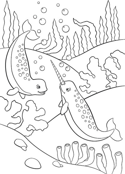 着色page_narwhal01_
