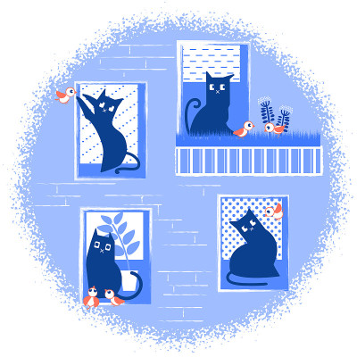 猫在窗户