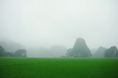 石灰岩岩溶和稻田;宁平，越南北部