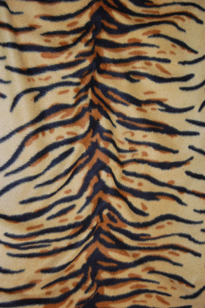 虎皮