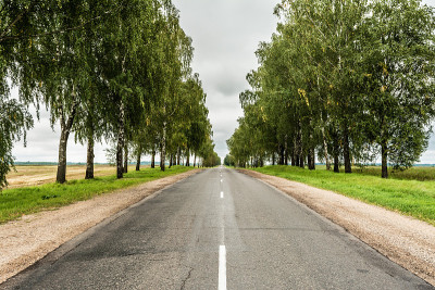 柏油路上有沙路，绿地上有常栽的树木，秋日景观阴云密布