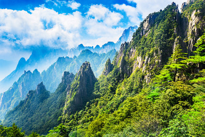 黄色的山