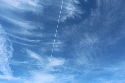 沙漠白日梦- 29棕榈树- 031019克