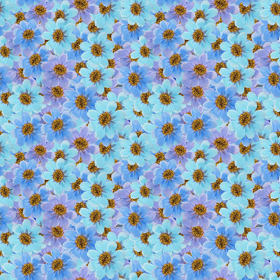宇宙。插图，花的纹理。用于连续复制的无缝模式。花卉背景，照片拼贴为纺织品，棉布面料。用于墙纸、封面、