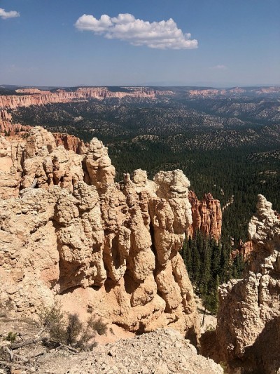 美国自然/布莱斯峡谷国家公园。杰克Canyon.Vertical。