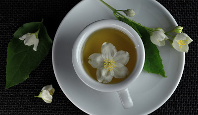 茉莉花茶鲜花生态