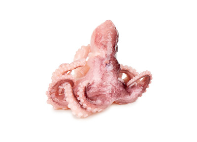 章鱼孤立