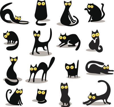 黑猫