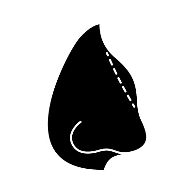 Rhinoplasty icon