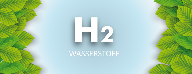 H2氢绿色叶白色头部