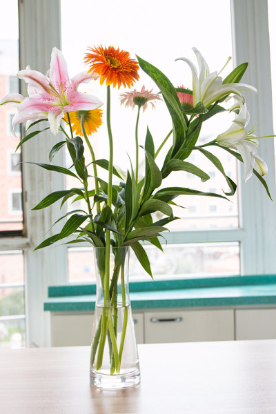 花瓶里有百合花和非洲菊