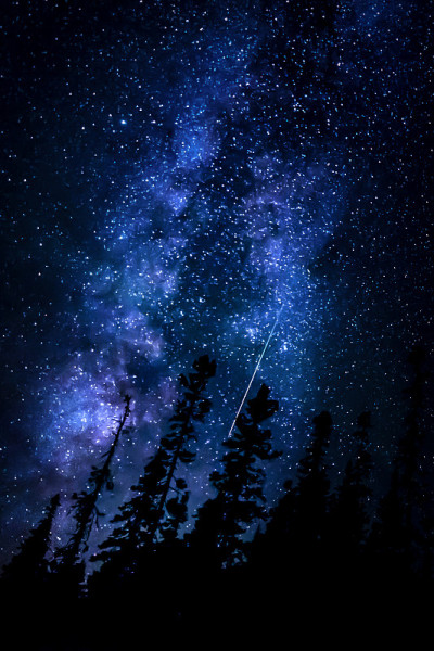 Perseids