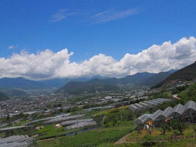 日本山梨县口福盆地景观